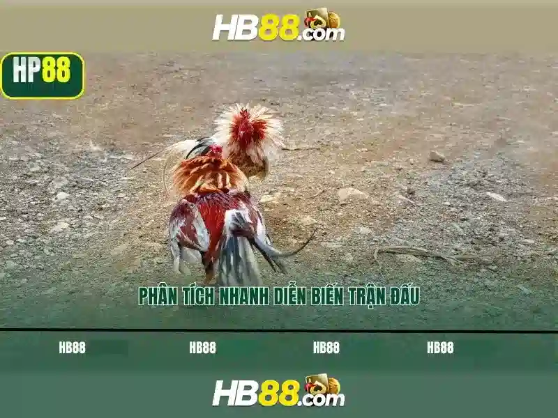 HB88: Nền tảng cược trực tuyến phổ biến và những điều người chơi nên biết