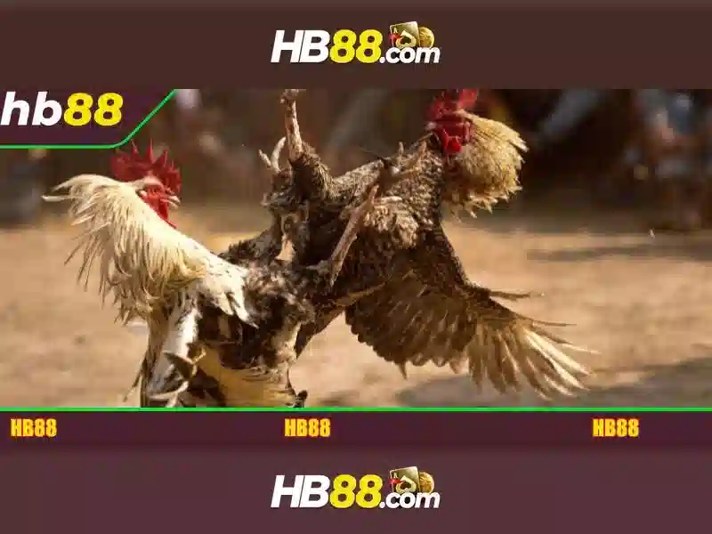 hb88 login app: Trải nghiệm đăng nhập và tiện ích