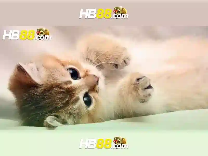 Hb88: Nền tảng chơi game trực tuyến và nhận định