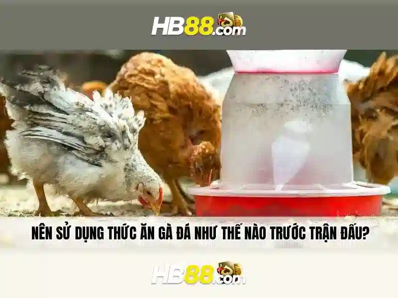HB88 là gì? Tổng quan về trang cược HB88