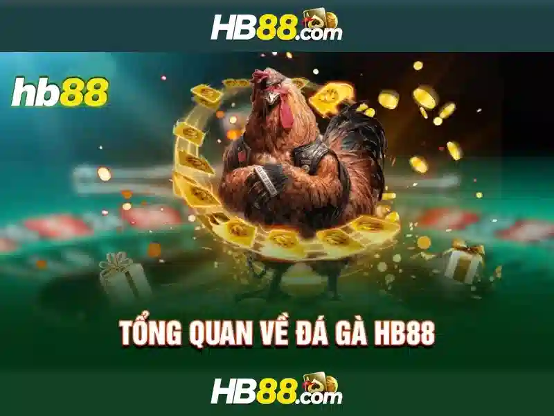 hb88: Trang web cá cược trực tuyến an toàn và tiện ích