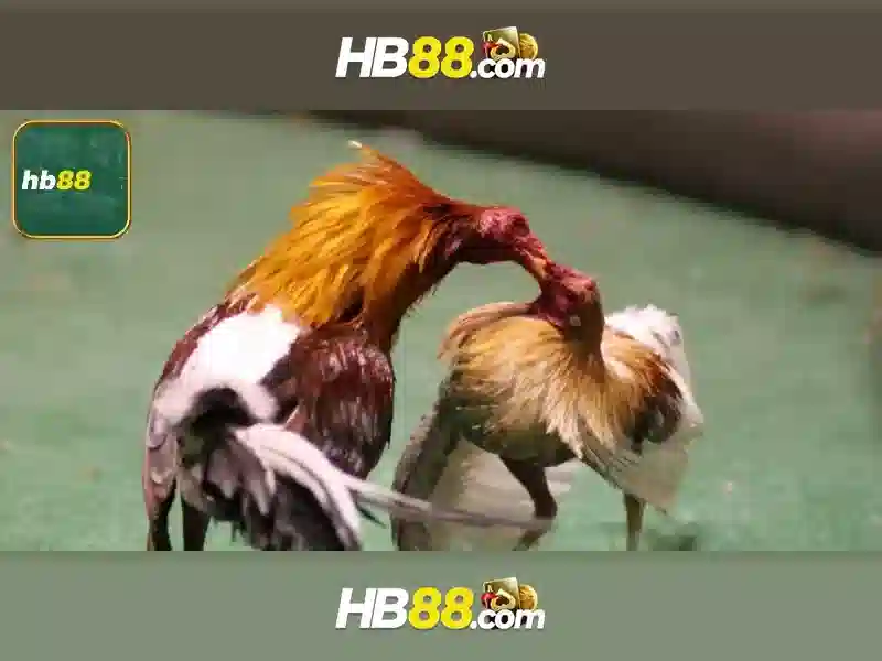 HB88 là gì và tại sao được quan tâm?