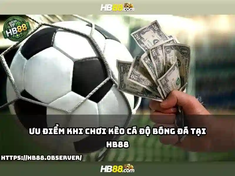 HB88 - Tổng quan về nền tảng cá cược trực tuyến