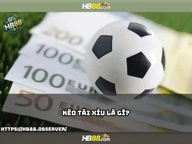 hb88: Nền tảng cá cược trực tuyến và thể thao