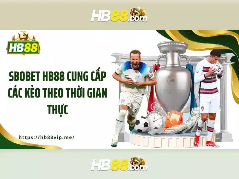 An toàn và cấp phép