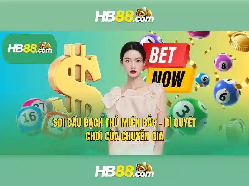 cskh hb88 – Trải nghiệm chăm sóc khách hàng đỉnh cao