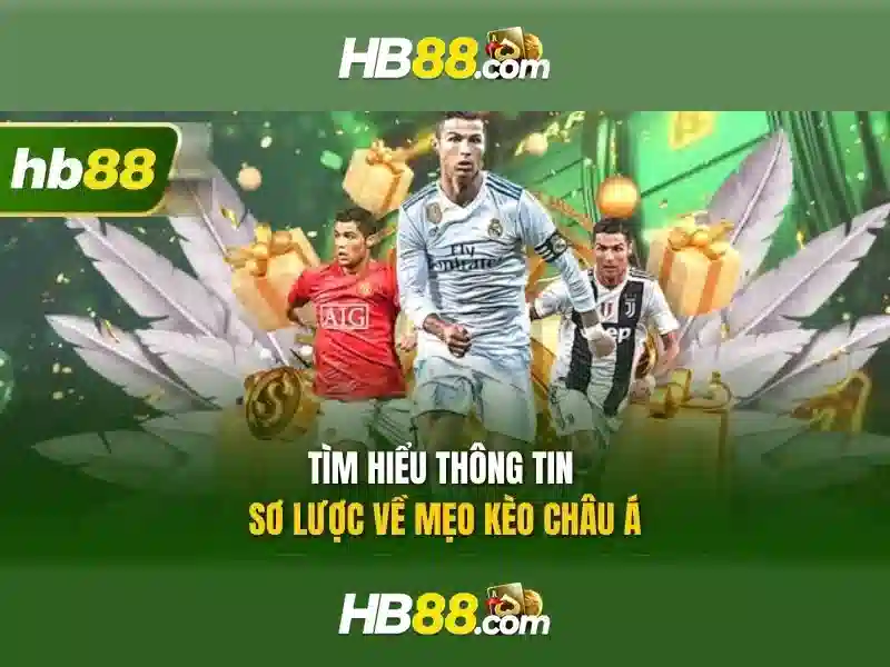 HB88: Đánh giá nền tảng cá cược trực tuyến