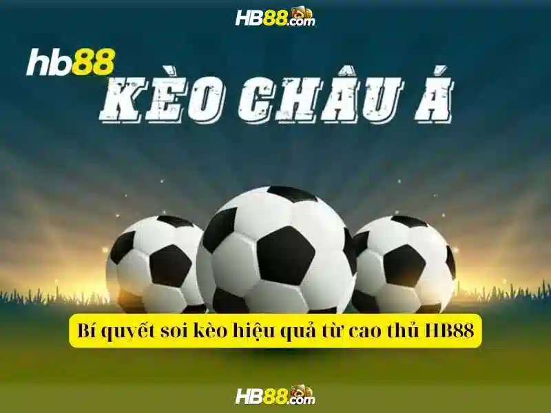 hb88: Tổng quan và đánh giá nền tảng cá cược trực tuyến