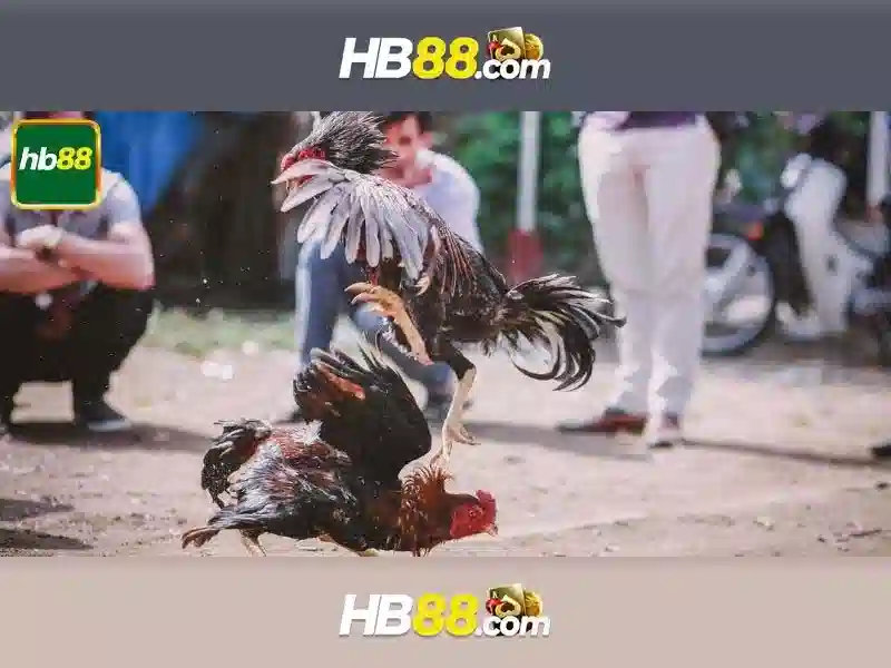 Các trò chơi phổ biến và tính năng của HB88