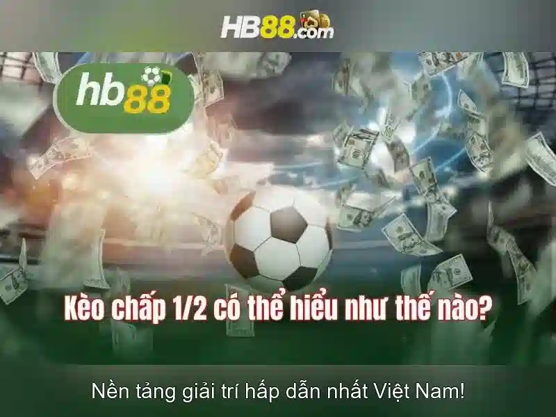 Trải nghiệm người dùng và hỗ trợ