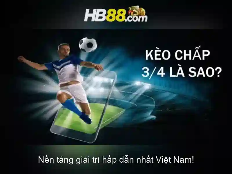 Trải nghiệm người dùng và phản hồi