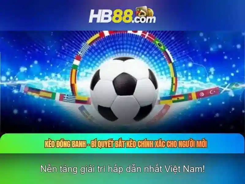 Trải nghiệm người dùng và phản hồi cộng đồng hb88