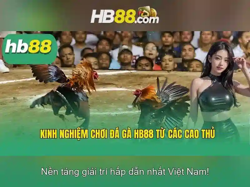 HB88 là gì? Khám phá nền tảng trò chơi trực tuyến