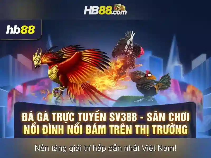HB88 là gì?