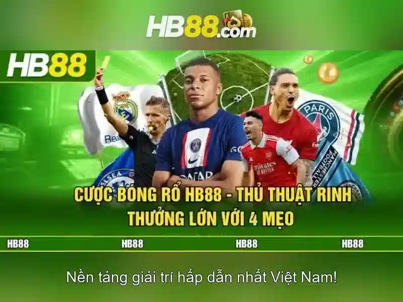 Trải nghiệm người dùng và Phản hồi cộng đồng