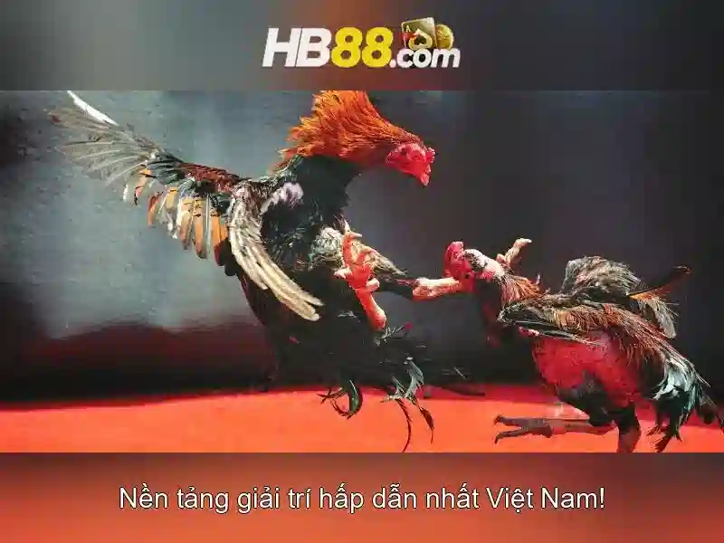 hb88 nohu – Định hình thương hiệu và trải nghiệm người dùng