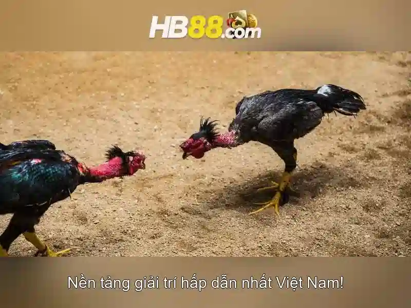 hb88 mobi – Nền tảng số cho trải nghiệm tuyệt vời