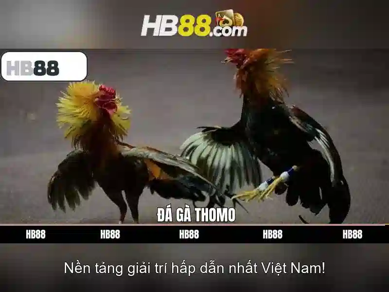 Tính năng nổi bật của HB88